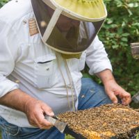 Ferguson Apiaries