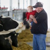 Heather Holme Holsteins