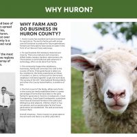 Why Huron