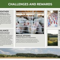 Challenges and Rewards