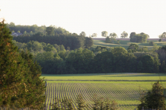 Bluewater-Fields