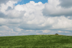 Clouds-in-the-Sky