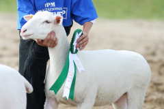 Farmtastic-IPM2017_Day5