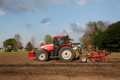 Hessenland_Vine-Planting