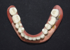 N0002880-6