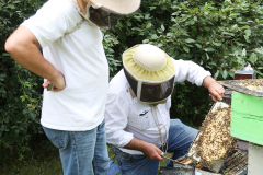 Checking-the-Colony