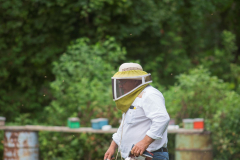 Walking-to-the-Bees