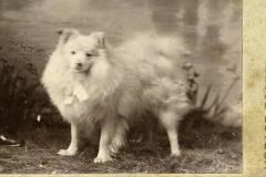 Associated Place: Clinton Associated Place: Clinton