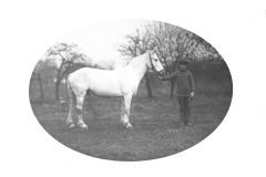 Associated Place: Goderich