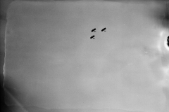 A992.0003.436 - Sky Harbour Funeral of Kelly ,1940-1944