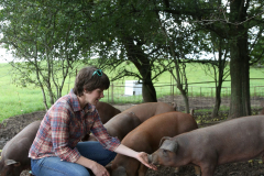 Pigs-and-Pears