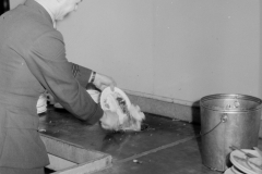 A992.0003.331  - New Years Day, January 1, 1944