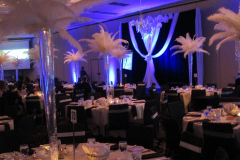 11329855_10207123200863389_4773670963434233034_n 11329855_10207123200863389_4773670963434233034_n